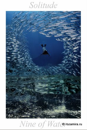 Nature Tarot by Jan Strube